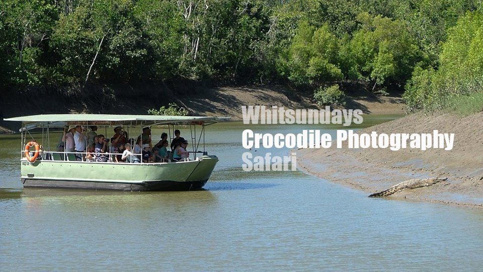 Whitsunday Croc Photo Safari
