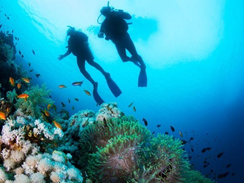 Two scuba divers and coral reef