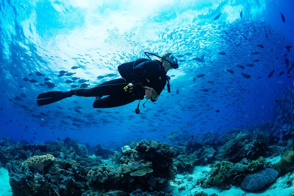 a women scuba diving on the great barrier reef