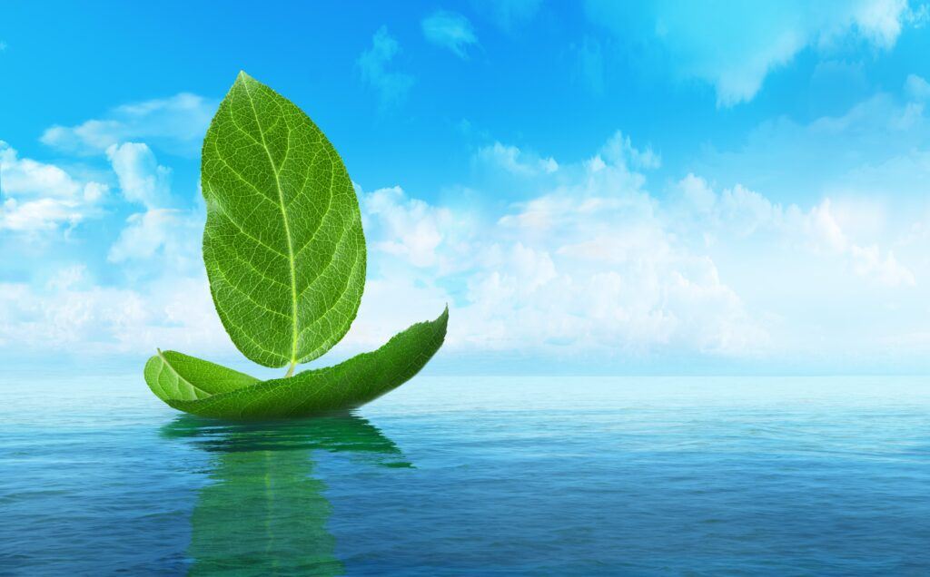 A floating leaf in the shape of a boat to symbolise green energy