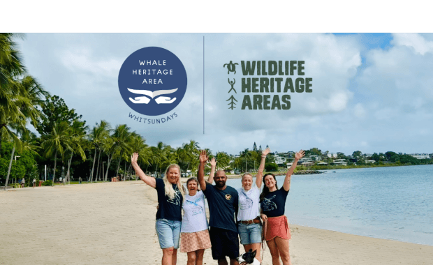 Whale Heritage Area announcement